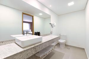 Foto da galeria de Holiday Inn Sao Paulo Parque Anhembi by IHG em São Paulo