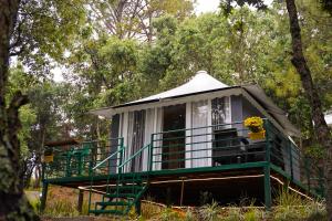 Gallery image of Apricot Luxury Tent Retreat in Majkhali in Chaubattia +25 photos