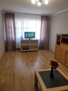 Μια τηλεόραση ή/και κέντρο ψυχαγωγίας στο Starlite appart