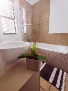 a bathroom with a white sink and a potted plant at Sandton Serenity in Johannesburg