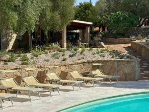 a row of lounge chairs next to a swimming pool at Lu Pastruccialeddu in Arzachena