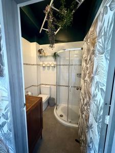 ein Badezimmer mit Dusche und Toilette in der Unterkunft The Fishermans Daughters in Looe