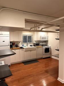 Kuchyň nebo kuchyňský kout v ubytování Comfy Garden Suite in Andersonville + 14 fotografií