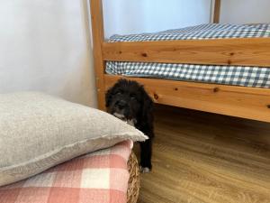 Postel nebo postele na pokoji v ubytování Casa Julián
