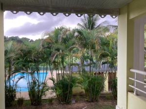a view of a pool from a house with palm trees at Des Racines & Des Ailes in Petit-Bourg