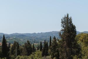 a view of a forest of cypress trees at K & M Retreat - Detatched, 2 Bedroom, 3 AC, Stunning Hill Views in Evropoúloi