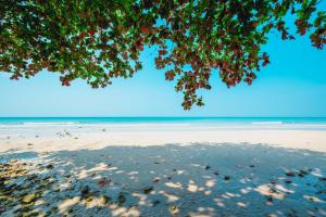 a view of the beach from under a tree at Kacha Resort & Spa, Koh Chang in Ko Chang