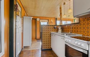 a kitchen with a sink and a counter top at Holiday Home Bjarkesvej in Ertebølle +14 photos