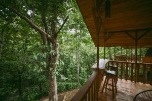 Fotografie z fotogalerie ubytování Glamping Colibrí - Finca Heliconias v destinaci Neily