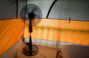 Fotografie z fotogalerie ubytování Glamping Colibrí - Finca Heliconias v destinaci Neily