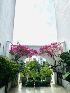 a courtyard with plants and flowers in a building at 24 Phan Huy Ích in Vung Tau