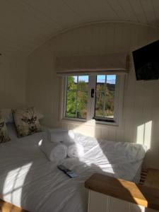 a white bed in a room with two windows at 1 King-size Bed Deluxe Cabin - Free Parking in Forfar