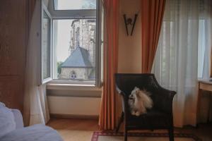 a dog sitting in a chair in front of a window at Manal Hotel & Sall in Wadersloh