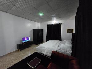 TV i/ili multimedijalni sistem u objektu Geomatics Lodge