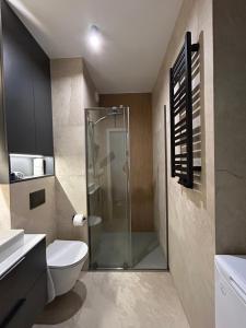 Bilik mandi di Apartament Aura Towers +9 gambar