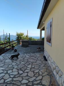 Domácí mazlíčci ubytovaní s hosty v ubytování Vacation home Marinići