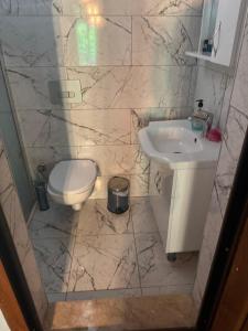 ein Badezimmer mit Toilette und Waschbecken in der Unterkunft Ahsen pansiyon in Selçuk