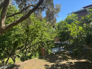 Blick auf einen Garten mit Bäumen und ein Gebäude in der Unterkunft Ahsen pansiyon in Selçuk + 29 Fotos