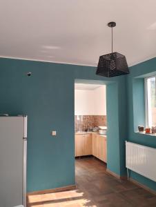 Kuchyň nebo kuchyňský kout v ubytování PANDA Family Hotel in Senaki