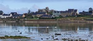 a dog swimming in a body of water with houses at Kelerdut Plage in Plouguerneau