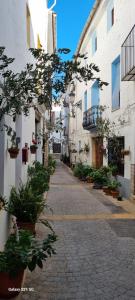 an alley with potted plants on the side of a building at Apartamentos turísticos "El Refugio" in Algar de Palancia