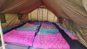 KedārnāthKedarnath base camp的帐篷内的四张床位