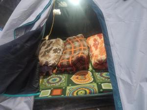 KedārnāthKedarnath base camp的帐篷内的一组毯子和枕头