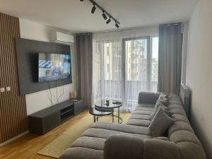 TV a/nebo společenská místnost v ubytování Apartman S