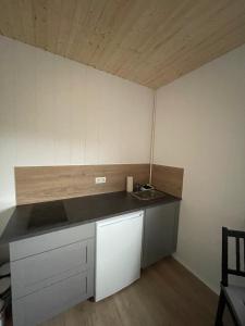 Dapur atau dapur kecil di Rjúpnavellir