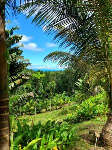 Cottage Ô Cœur de Bel Hâlé في سانت-روز: منظر لمزرعة الموز من شجرة نخيل