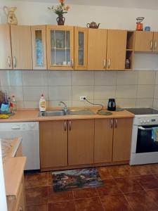 a kitchen with wooden cabinets and a sink at Villa Ena in Sarajevo