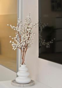 多布罗塔SEA VIEW apartment 2km from the Old Town of Kotor的相册照片