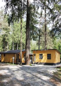 a yellow cabin in the woods with a tree at Camping la Pineta in Santa Maria Maggiore