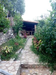Zahrada ubytování Seaside retreat with garden view
