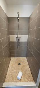 ein Badezimmer mit Dusche und Handtuch auf dem Boden in der Unterkunft Studio Dolce & Vita C2 vue mer avec piscine in Propriano + 18 Fotos