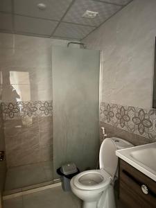 ein Badezimmer mit Toilette, Dusche und Waschbecken in der Unterkunft Wadi Rum Kenan Camp in Wadi Rum + 108 Fotos