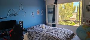 a blue room with a bed and a window at Villa Le Rossignol in Puimisson +19 photos