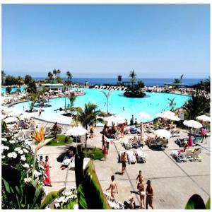 a group of people at a swimming pool at Escapada Deluxe con Wifi 2 Hab 2 Baños con Cocina & SmartTV cerca de Todo in Santa Cruz de Tenerife