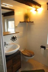 a bathroom with a toilet and a sink and a mirror at Ferienwohnung Hochwaldblick in Hörnitz