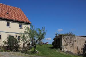 a white house with a tree in the yard at Ferienwohnung Hochwaldblick in Hörnitz +14 photos