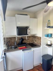 Kuchyň nebo kuchyňský kout v ubytování Studio des Flots - Tartane Martinique