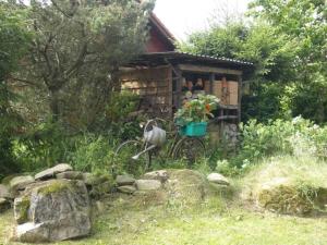 Photo de la galerie de l'établissement 1-bedroom apartment, à Amelinghausen