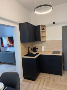 a kitchen with black cabinets and a sink at DLG-STAYS Iserlohn in Iserlohn