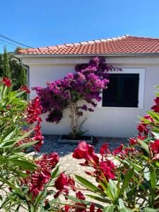 a house with a tree with purple flowers in front of it at Barbat 249 in Barbat na Rabu