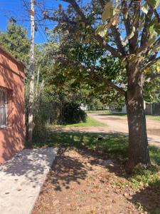 En have udenfor El Tilo Hospedaje