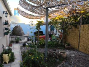 Κήπος έξω από το La Violeta Due