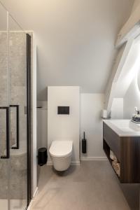 a bathroom with a toilet and a sink at Borgraaf - Fruitzicht in Borgloon