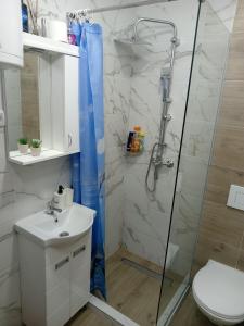 Phòng tắm tại Apartman Savić Divčibare