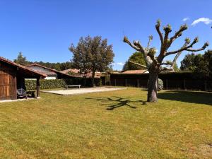 a tree sitting in the middle of a yard at A CasA in Linxe