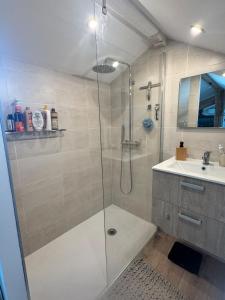 a bathroom with a shower and a sink at Cozy apartment in Neuville-les-Dames
